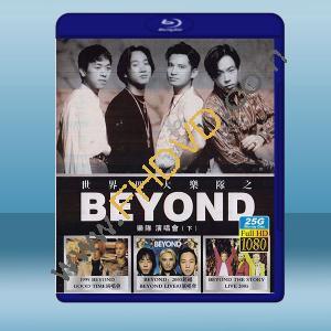  BEYOND樂隊演唱會（下）3碟 藍光25G