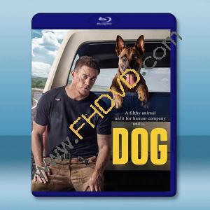  忠犬/逍遙上路 Dog(2022)藍光25G