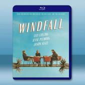 黃金屋/意外之財 Windfall(2022)藍光25G