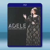 阿黛爾紐約演唱會 Adele Live in New Y...