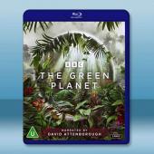 綠色星球 The Green Planet(2022)藍...
