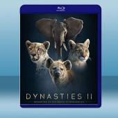 王朝 Dynasties 第2季 (1碟) (2022)...