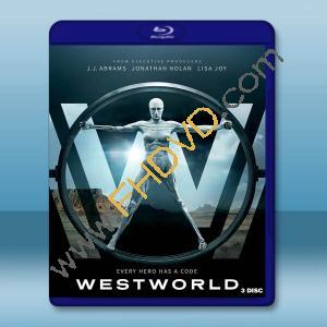  西部世界/西方極樂園 第一季 Westworld S1(2016)藍光25G 3碟