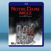 燃燒的巴黎聖母院 Notre-Dame On Fire(...