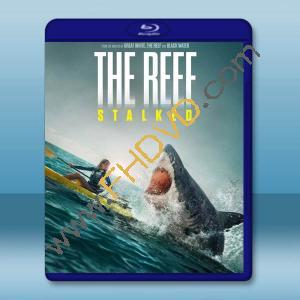  暗礁狂鯊 The Reef: Stalked(2022)藍光25G