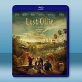  奧利不見了 Lost Ollie(2022)藍光25G