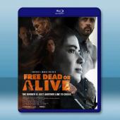 生死自由 Free Dead or Alive(2022...