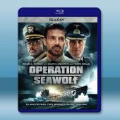 海狼行動 Operation Seawolf (2022...