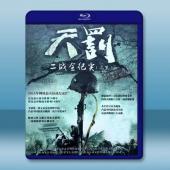  天罰:二戰全紀實(遠東篇)(2015)藍光25G 2碟