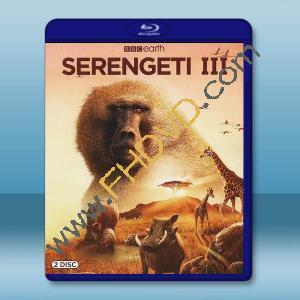  塞倫蓋蒂 第三季 Serengeti Season 3(2022)藍光25G 2碟