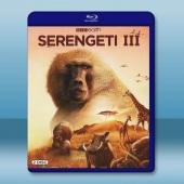 塞倫蓋蒂 第三季 Serengeti Season 3(...