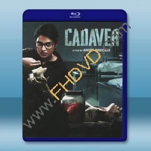  法醫緝兇 Cadaver (2022)藍光25G