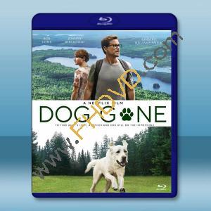  迷途之犬 Dog Gone (2023)藍光25G