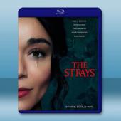 異客/流浪者 The Strays (2023)藍光25...