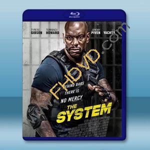  危險臥底 The System (2022)藍光25G