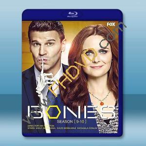  識骨尋蹤 第9+10季 Bones S9-10 藍光25G 4碟