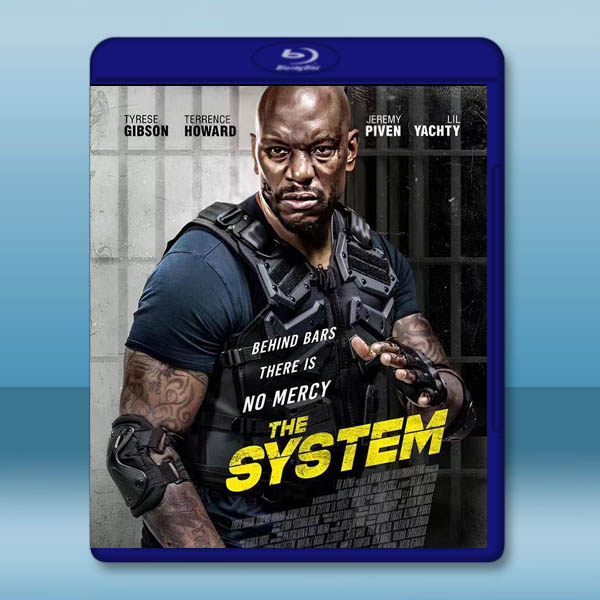  危險臥底 The System (2022)藍光25G