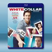  妙警賊探/貓鼠遊戲 第3+4季 White Collar S3-4(2011-2012)藍光25G 4碟