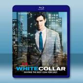  妙警賊探/貓鼠遊戲 第5+6季 White Collar S5-6(2013-2014)藍光25G 4碟