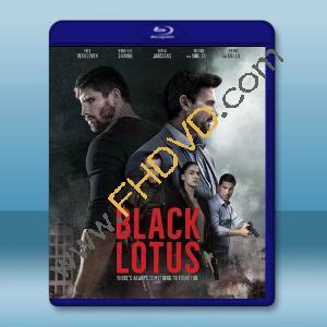  黑蓮花公主 Black Lotus (2023)藍光25G