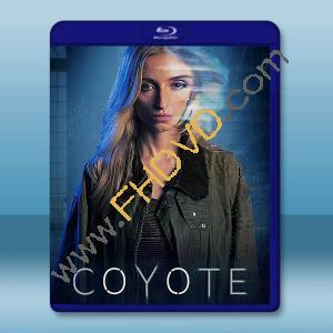 郊狼 Coyote (2023)藍光25G