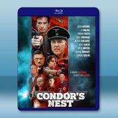 禿鷹的巢穴 Condor's Nest (2023)藍光...