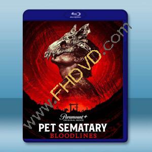  禁入墳場2/寵物墳場2 Pet Sematary: Bloodlines (2023)藍光25G L