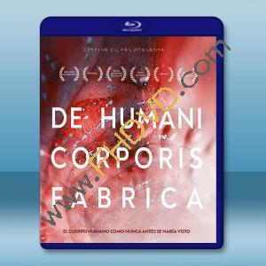  人體結構 The Fabric of the Human Body(2022)藍光25G T