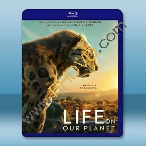  地球萬物軌跡 Life on Our Planet(2023)藍光25G 2碟