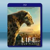 地球萬物軌跡 Life on Our Planet(20...