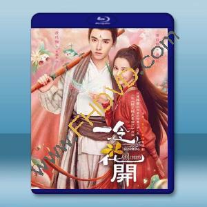 一念花開 (2023)藍光25G 3碟L