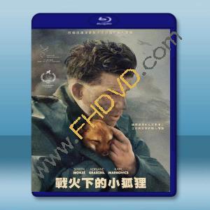 戰火中的小狐狸 The Fox(2022)藍光25G