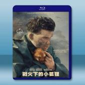 戰火中的小狐狸 The Fox(2022)藍光25G