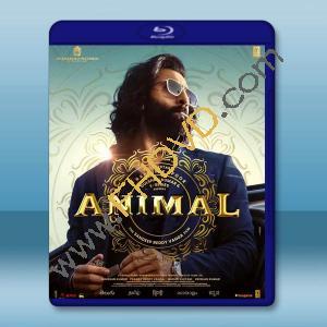 父仇 Animal (2023)藍光25G