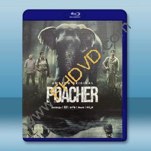 偷獵者 Poacher (2024)藍光25G 2碟T