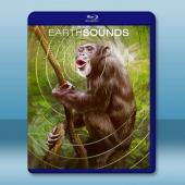 地球之聲 Earthsounds(2024)藍光25G 2碟