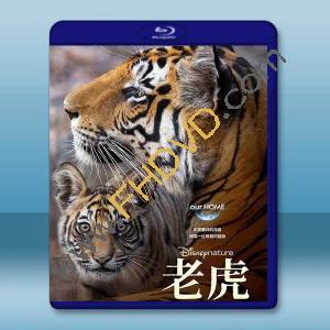 老虎 Tiger (2024)藍光25G