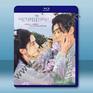 惜花芷【TV全集+幕後精彩花絮】(2024)藍光25G 4碟L