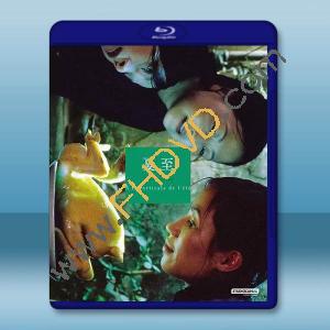 夏天的滋味/夏至 (2020)藍光25G		 
