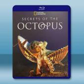 章魚的秘密 Secrets of the Octopus...