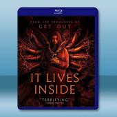 印咒：畢舍遮/深居其中 It Lives Inside(2023)藍光25G		 