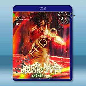 裡應外合 (2024)藍光25G		 