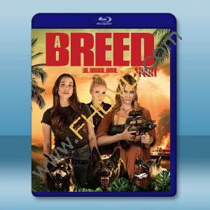 超乎常人 A Breed Apart(2025)藍光25G		 