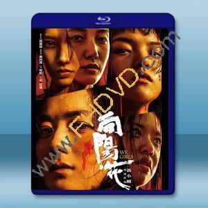 向陽·花 (2025)藍光25G		 