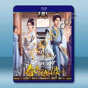 春來定風波 (2025)藍光25G 3碟L		 