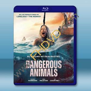 鯊人魔/危險動物 Dangerous Animals(2025)藍光25G		 