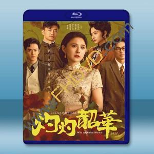 灼灼韶華 (2025)【TV全集+幕後花絮】藍光25G 4碟L		 