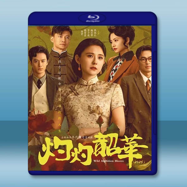 灼灼韶華 (2025)【TV全集+幕後花絮】藍光25G 4碟L		 