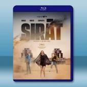 接近終點 After(2025)藍光25G		 