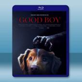 乖狗狗 Good Boy(2025)藍光25G		 